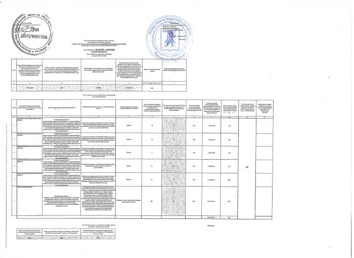 Отчет о выполнении государственного задания за отчетный период с 01.01.2020 по 31.06.2020